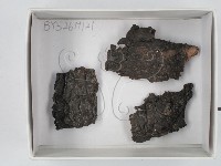 登錄號:F0018627藏品圖，第1張