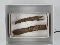 登錄號:F0018628藏品圖，第1張