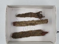 登錄號:F0018630藏品圖，第1張