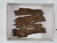 登錄號:F0018631藏品圖，第1張