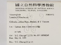 登錄號:F0018632藏品圖，第2張