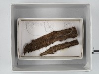 登錄號:F0018632藏品圖，第1張