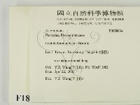 登錄號:F0018634藏品圖，第2張