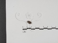 登錄號:F0018634藏品圖，第1張