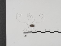 登錄號:F0018634藏品圖，第3張