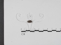 登錄號:F0018634藏品圖，第4張