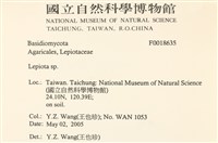 登錄號:F0018635藏品圖，第2張