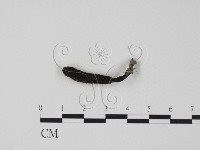 登錄號:F0018636藏品圖，第1張