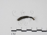 登錄號:F0018636藏品圖，第3張