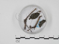 登錄號:F0018639藏品圖，第1張