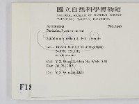 登錄號:F0018640藏品圖，第2張