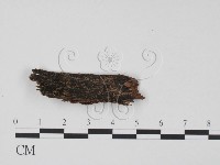 登錄號:F0018640藏品圖，第1張