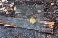 登錄號:F0018640藏品圖，第4張