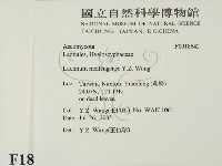 登錄號:F0018642藏品圖，第2張