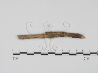 登錄號:F0018643藏品圖，第1張