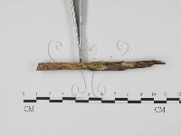 登錄號:F0018643藏品圖，第3張