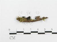 登錄號:F0018644藏品圖，第1張
