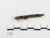 登錄號:F0018644藏品圖，第3張