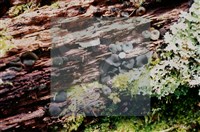 登錄號:F0018644藏品圖，第6張