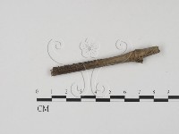 登錄號:F0018645藏品圖，第3張