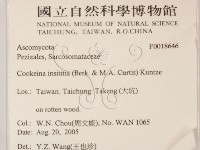 登錄號:F0018646藏品圖，第2張