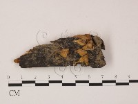登錄號:F0018646藏品圖，第1張
