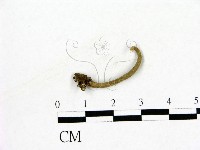 登錄號:F0018647藏品圖，第1張
