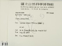 登錄號:F0018648藏品圖，第2張
