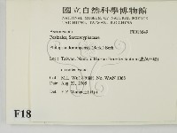 登錄號:F0018649藏品圖，第2張