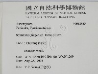 登錄號:F0018650藏品圖，第2張