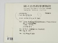 登錄號:F0018651藏品圖，第2張