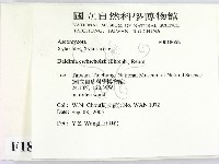 登錄號:F0018652藏品圖，第2張