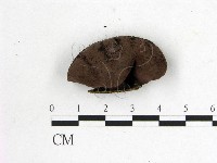 登錄號:F0018652藏品圖，第1張