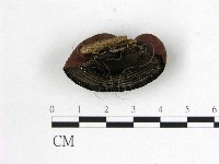 登錄號:F0018652藏品圖，第3張