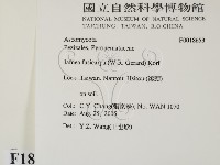 登錄號:F0018653藏品圖，第2張