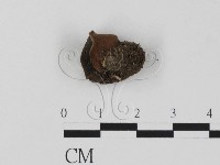 登錄號:F0018653藏品圖，第1張