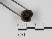 登錄號:F0018653藏品圖，第3張