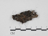 登錄號:F0018654藏品圖，第1張