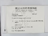 登錄號:F0018662藏品圖，第2張