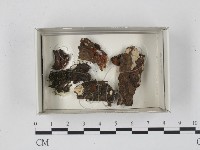 登錄號:F0018664藏品圖，第1張