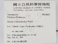 登錄號:F0018665藏品圖，第2張