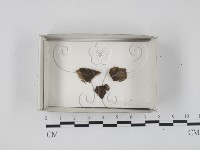 登錄號:F0018666藏品圖，第1張
