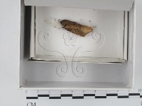 登錄號:F0018667藏品圖，第1張