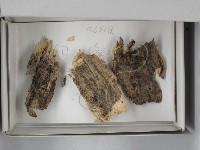 登錄號:F0018668藏品圖，第1張