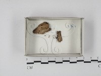 登錄號:F0018670藏品圖，第1張