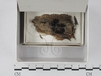 登錄號:F0018673藏品圖，第1張