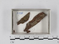 登錄號:F0018674藏品圖，第1張