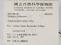 登錄號:F0018675藏品圖，第2張