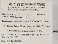 登錄號:F0018677藏品圖，第2張