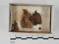 登錄號:F0018677藏品圖，第1張